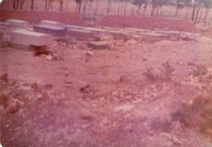 pic12